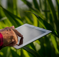 Agriculture